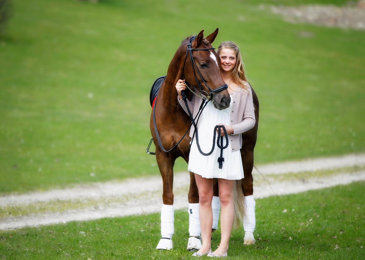 New Forest Jægersmindes Mel Gibson B-pony - Konfirmation 2013 billede 26