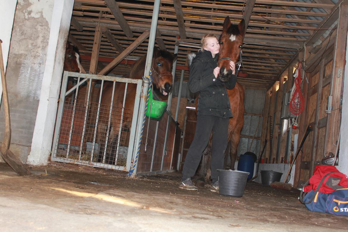 Traver Mark ~ Hypselotte ~ billede 10