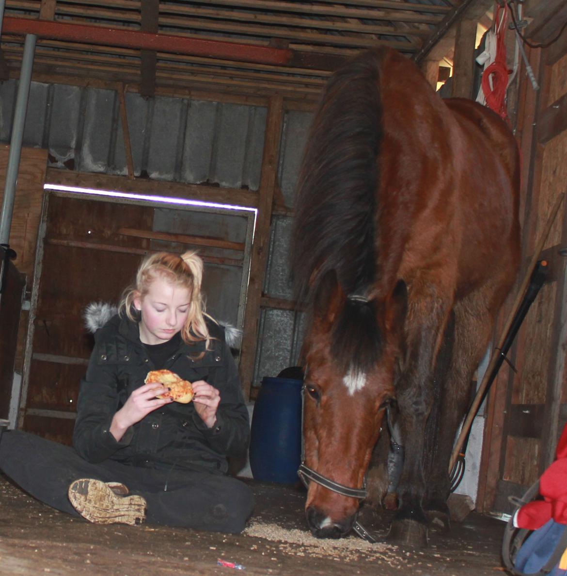 Traver Mark ~ Hypselotte ~ billede 14