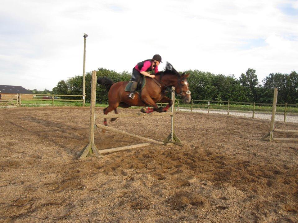 Anden særlig race Regitze billede 14