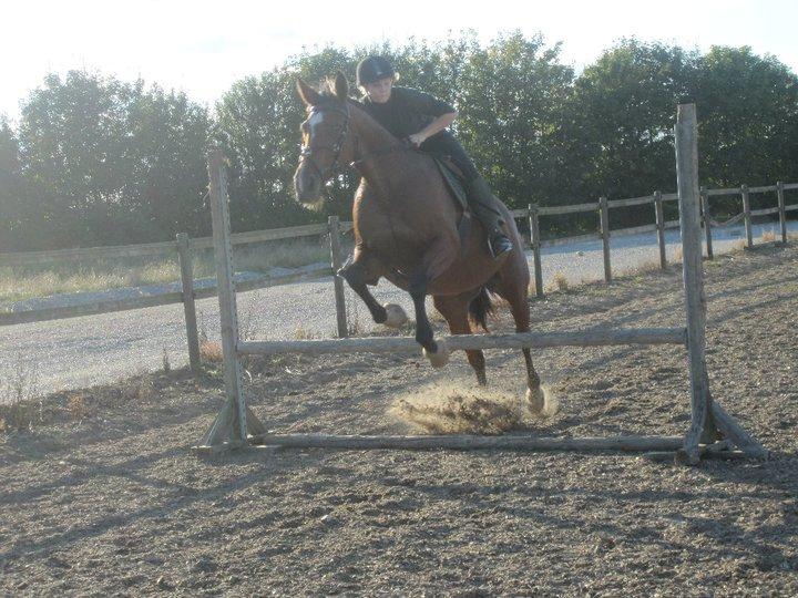 Anden særlig race Regitze billede 20