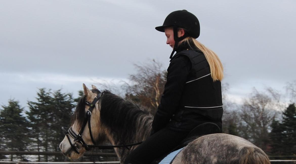 Welsh Pony (sec B) Korreborg's Barolo (SOLGT) :'(<3 billede 11