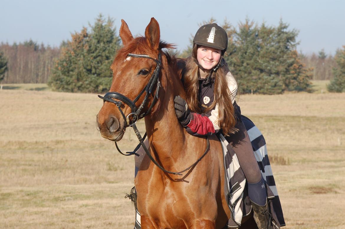 Anden særlig race Charming Sahlina billede 3