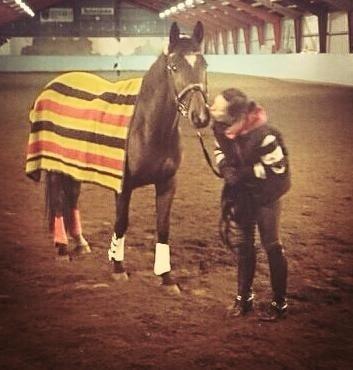 Dansk Varmblod Do Mali` billede 18