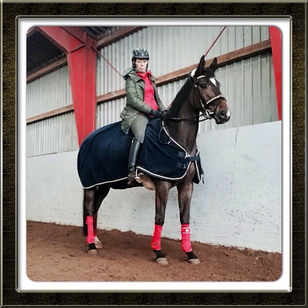 Dansk Varmblod Do Mali` billede 20