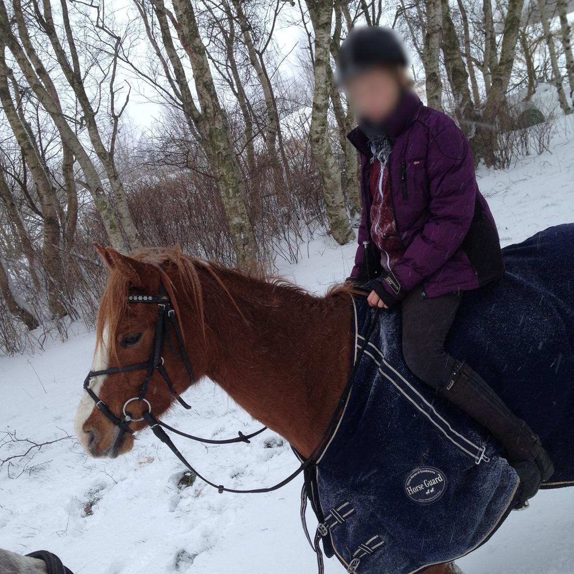 Anden særlig race Dreamer<3 billede 16