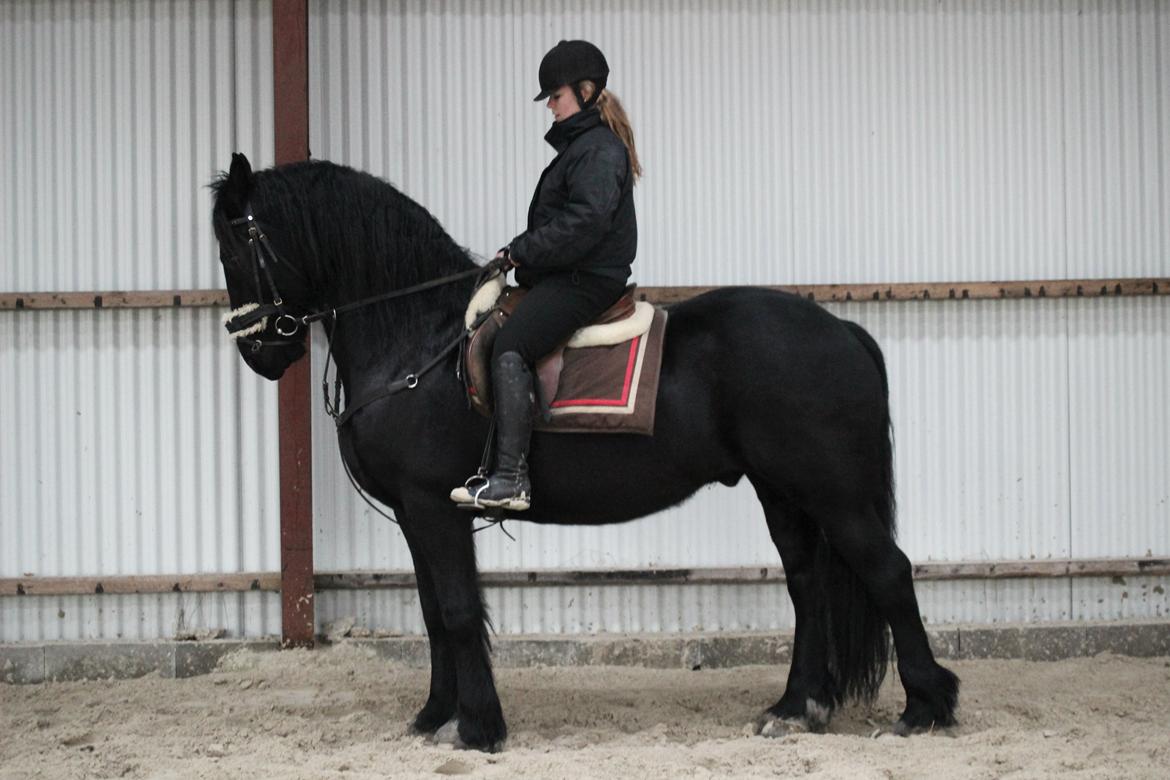 Frieser Remos fra Mørdrupgård billede 5