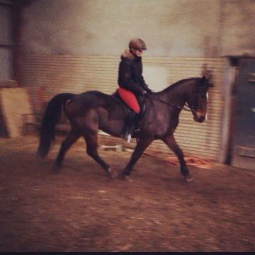 Traver Nok`en svimmel billede 18