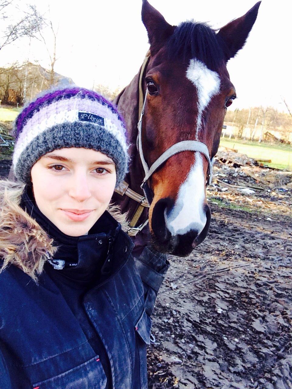 Traver Nok`en svimmel billede 20