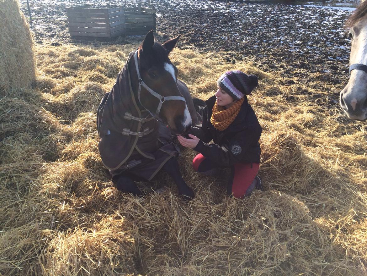 Traver Nok`en svimmel billede 21