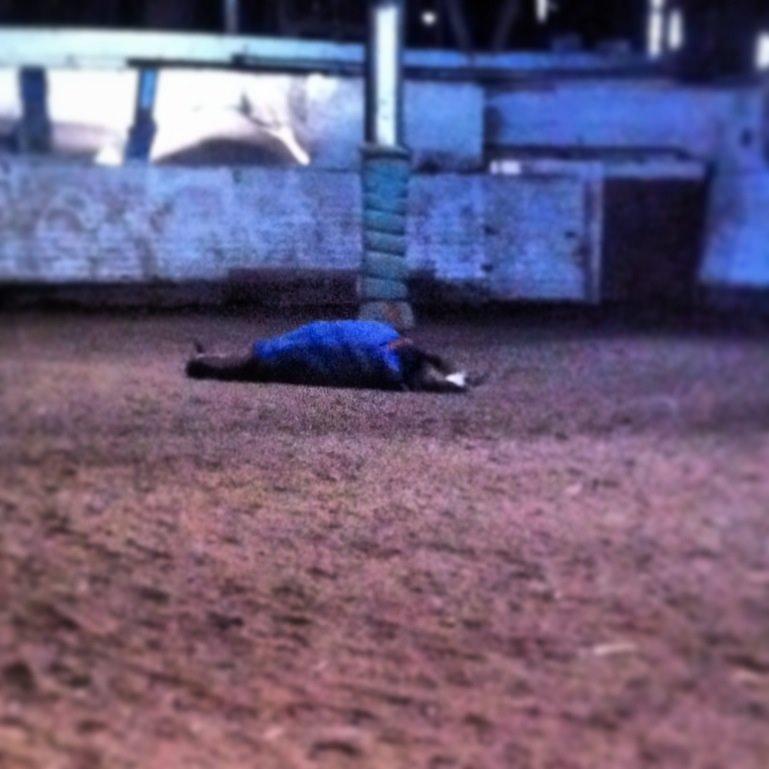 New Forest Annerups Delicious  {min baby} billede 13