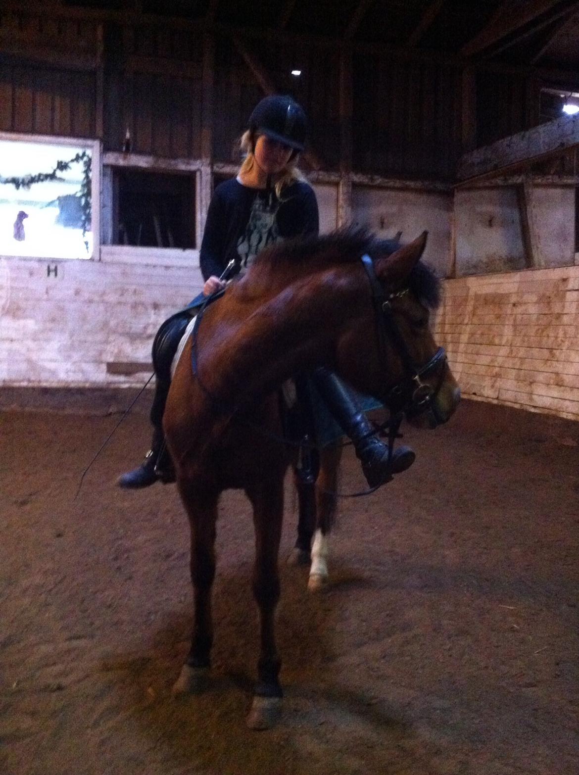 New Forest Annerups Delicious  {min baby} billede 16