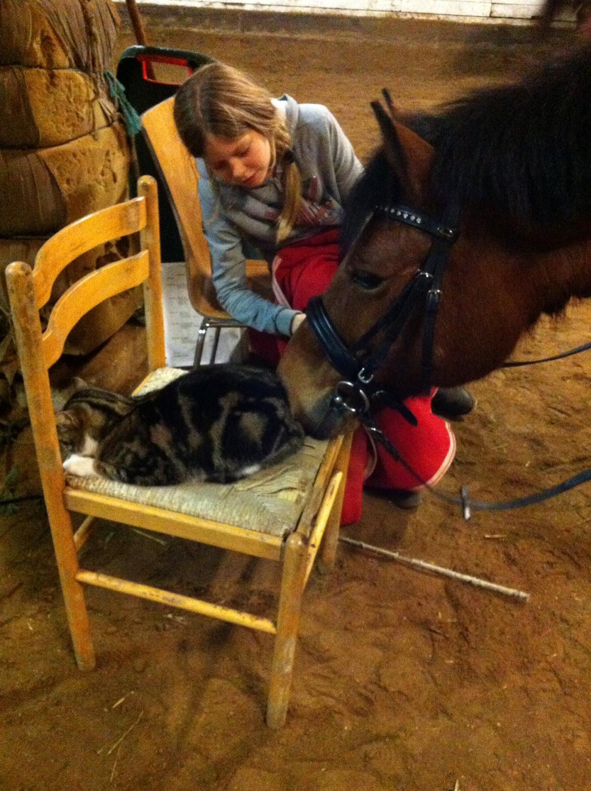 New Forest Annerups Delicious  {min baby} billede 17