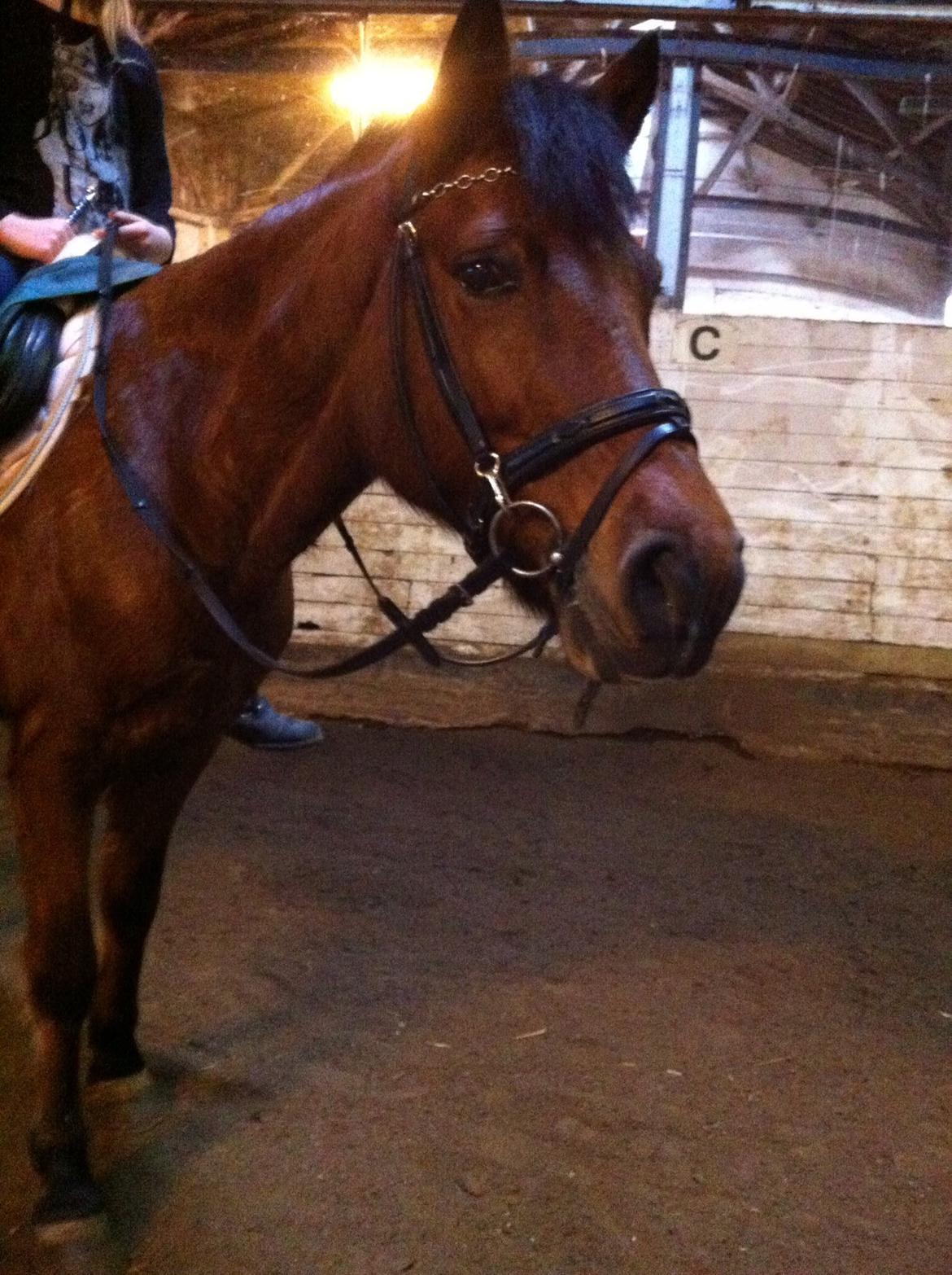 New Forest Annerups Delicious  {min baby} billede 20