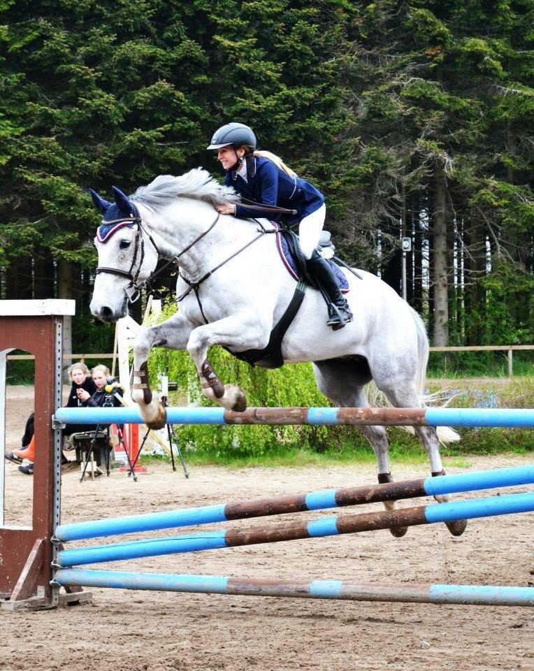 Holstener QUORP'S CADEAU billede 13