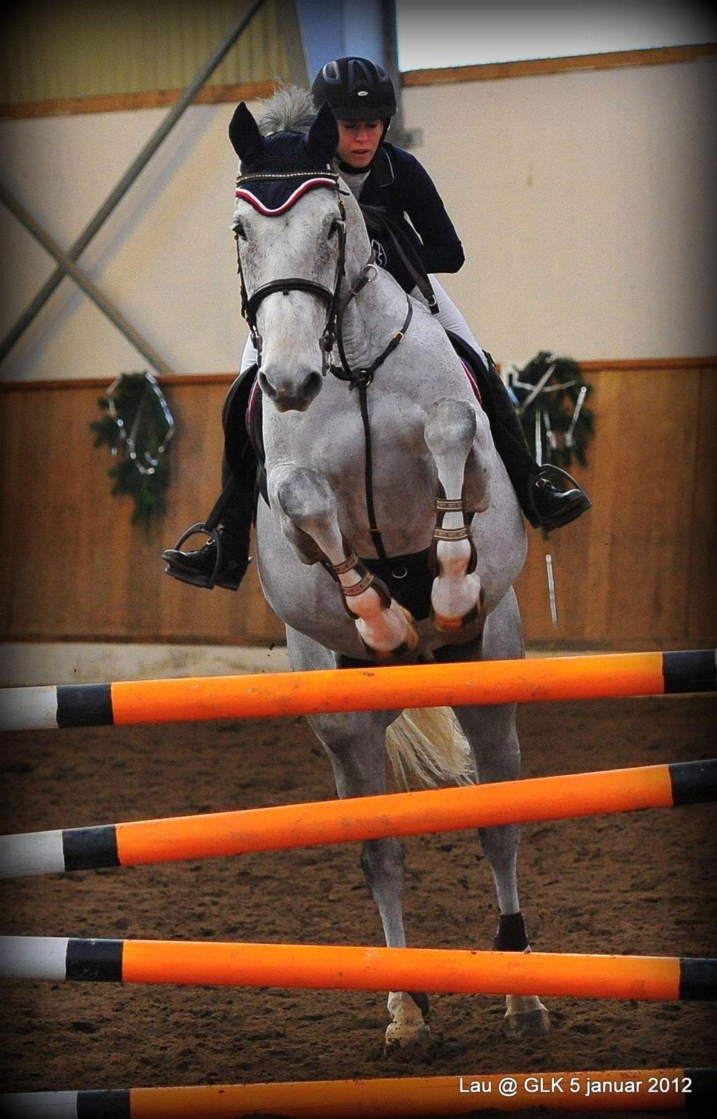 Holstener QUORP'S CADEAU billede 14