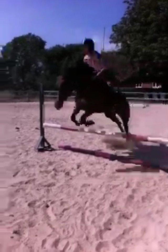 Traver Maja simoni billede 12