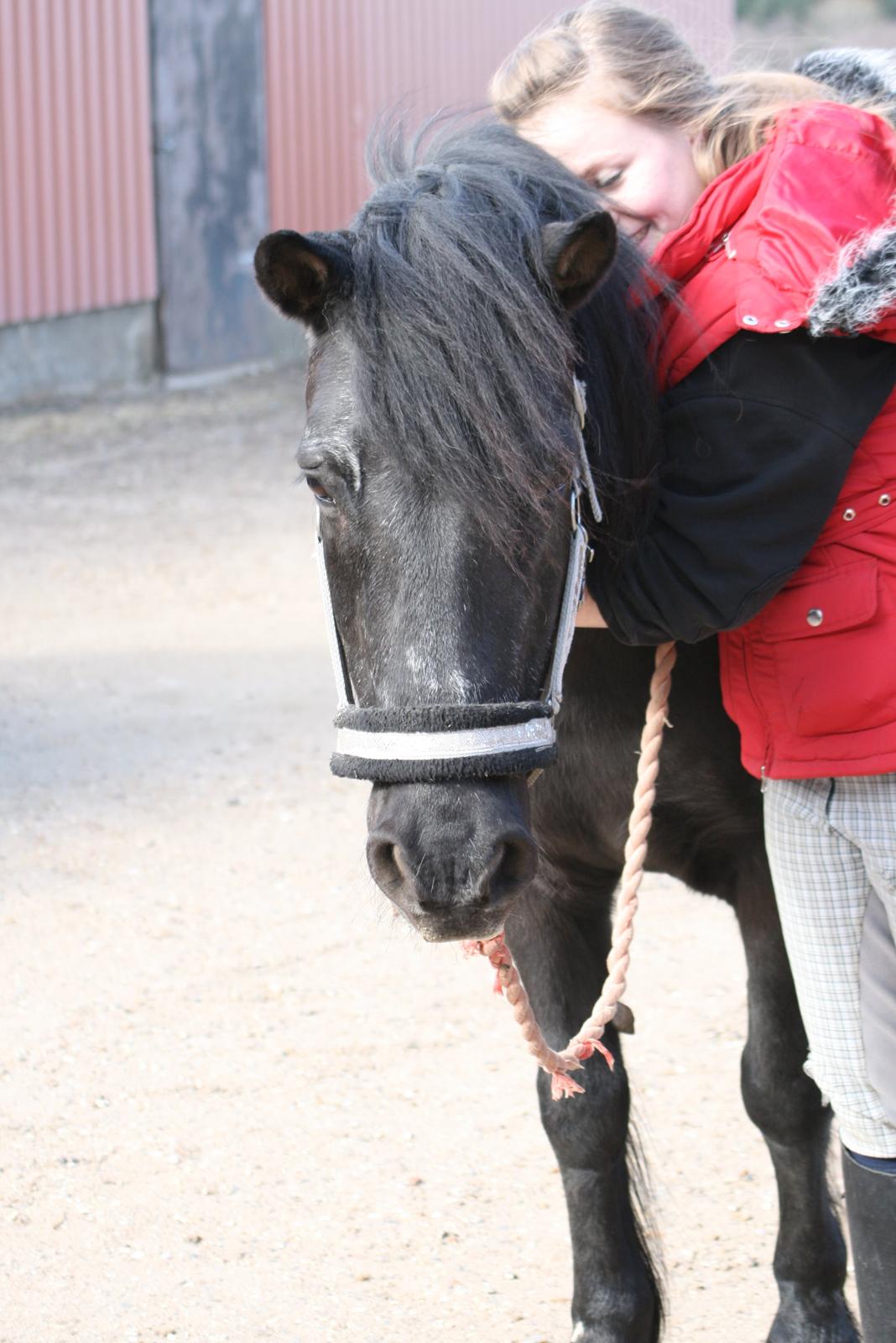 Anden særlig race Charlie :D - Dette billede betyder mere end noget andet. Jeg ved ikke hvad der er med det, men hans kønne nuttethed og mit ansigt i hans bløde man :-)  billede 20