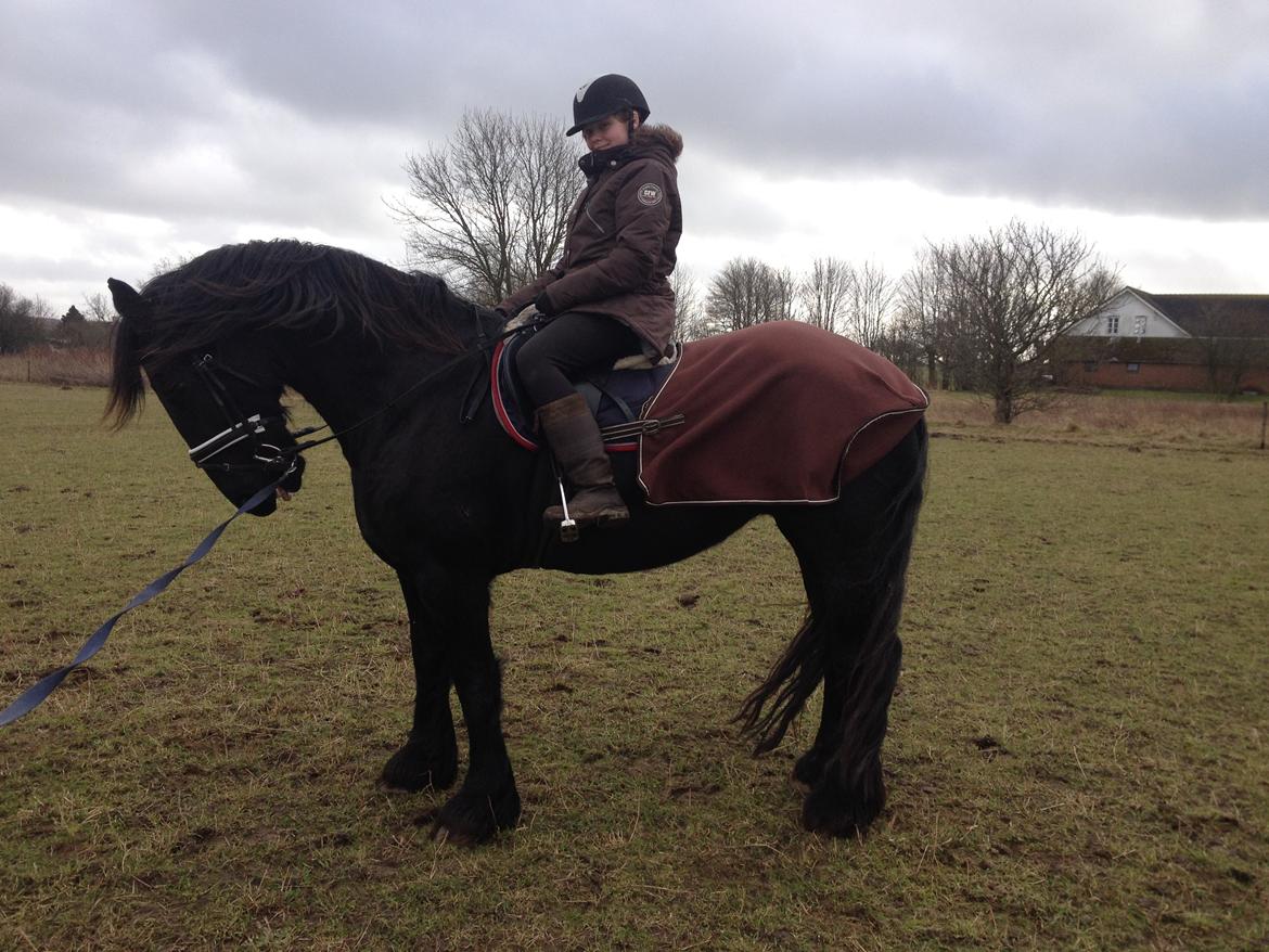 Frieser Geartsje Tjimske K. billede 5