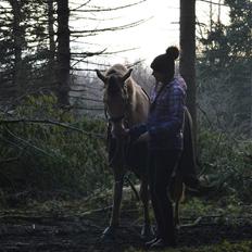 Anden særlig race Sioux