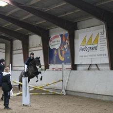 Fuldblod (XX) ICE CUBE