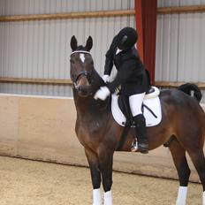 Hannoveraner Grankærs Sky Walker