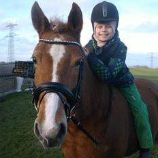 Anden særlig race Bakkens Flicka