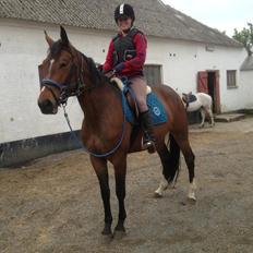 Anden særlig race Siegård's Jolie Marie