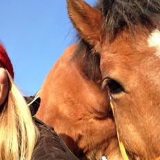 Anden særlig race Vsr st. laban