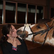 Pinto Stald poppels Hollywood Holy-man R.I.P MIN ENGEL