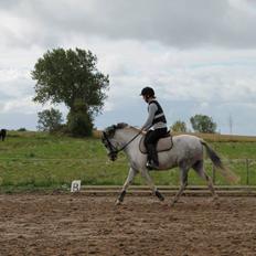 Anden særlig race • Lakota •