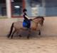 New Forest Lillehøjs Marguerit *Min soulmate*<3
