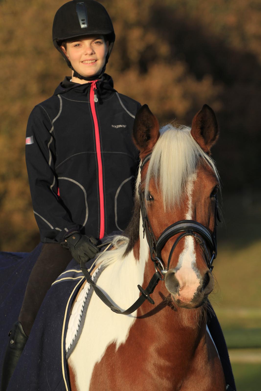 Anden særlig race Vicky Roma B-pony billede 13