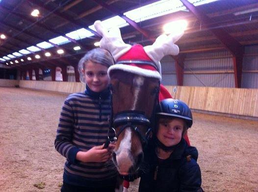 Anden særlig race Vicky Roma B-pony - Vicky's nye ejere :) Hun kunne ikke være endt et bedre sted <3 billede 18