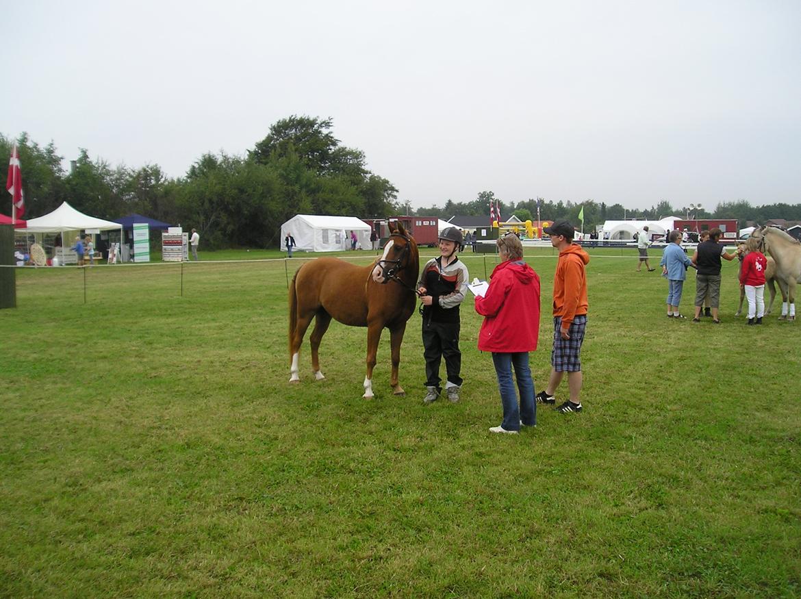 DSP Flamme billede 3