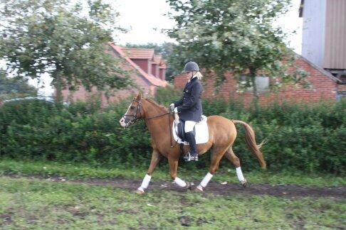 DSP Flamme billede 5