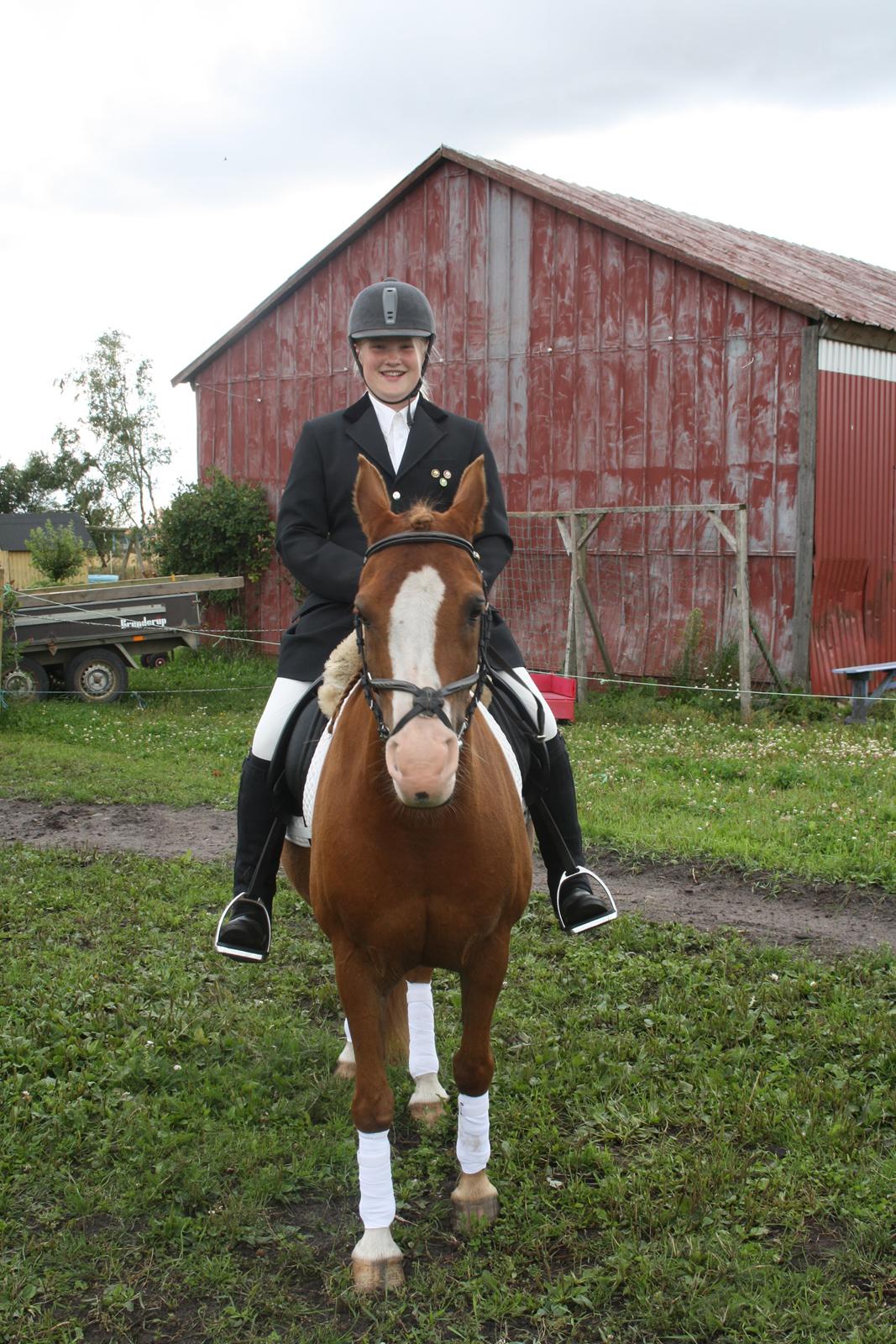 DSP Flamme billede 11