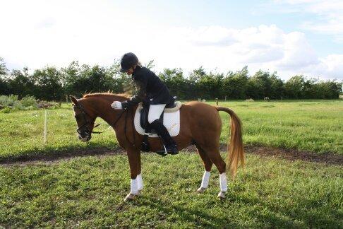 DSP Flamme billede 9