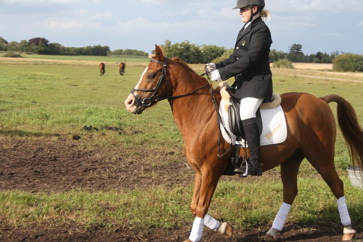 DSP Flamme billede 12