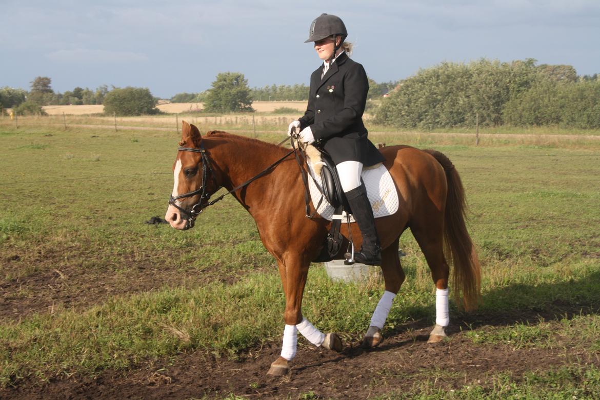 DSP Flamme billede 16