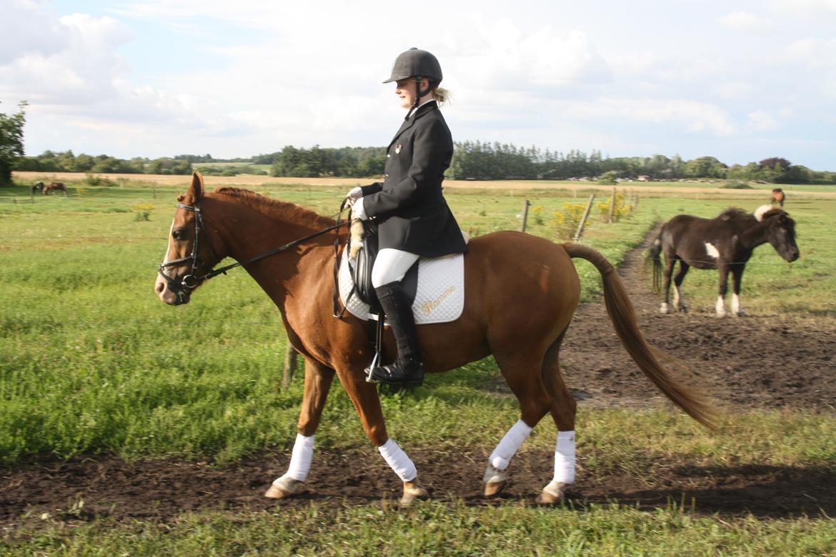 DSP Flamme billede 17