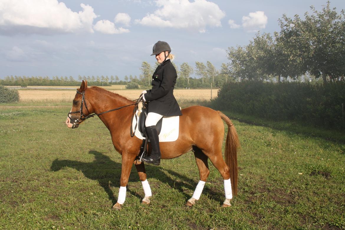 DSP Flamme billede 18