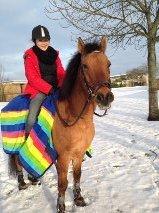 Anden særlig race Sigurd billede 7