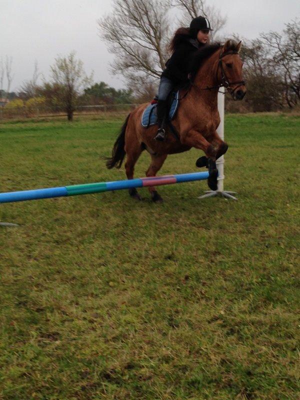 Anden særlig race Sigurd - Baby spriiing! ^^ billede 4