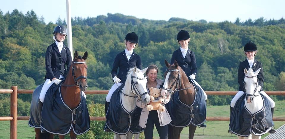 DSP Toftegaard's Hurricane SPH 182 <3 *A-Pony* - DM for hold 2013! Fantastisk tur <3 billede 11