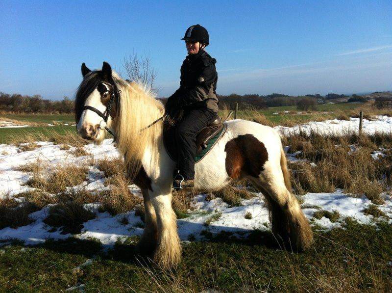 Tinker Willow - Den dag jeg prøvede Willow første gang. billede 4