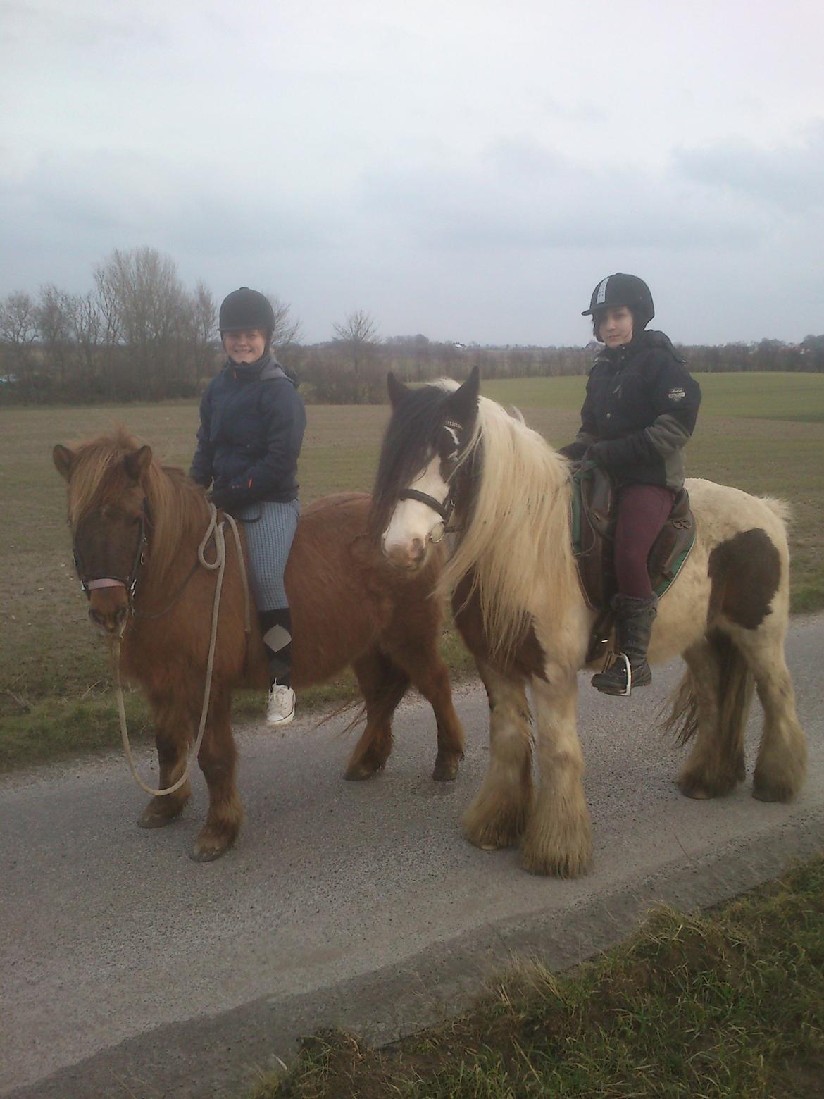 Tinker Willow - Mine piger på Willow og Litla.  billede 17