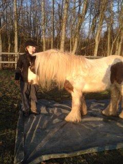 Tinker Willow - Vi trasker lidt på presenning. billede 7