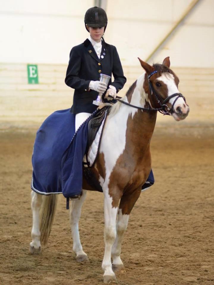 Pinto Svalebos Leonardo (B-pony) - championat 3013 dressur pony  billede 10