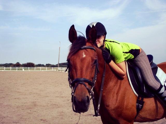 Anden særlig race La Cour (Deutsches Reitpferd/Hessisches Warmblut) - "Friendship is about finding someone who's your kind of crazy!" La Cour 3 billede 2
